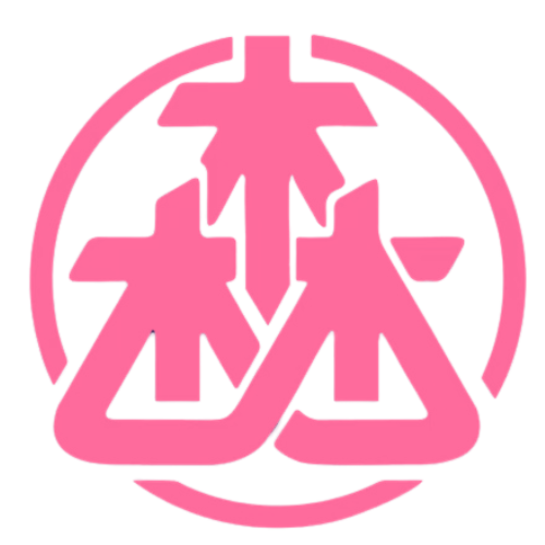 文天玩